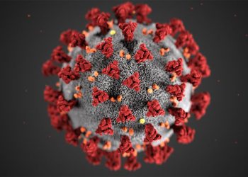 अॅक्टिव्ह कोरोना रुग्णसंख्येत पुणे देशात दुसरे शहर