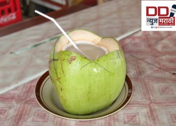 नारळ पाण्याचे फायदे वाचा आणि निरोगी जीवन जगण्याची कला शिका