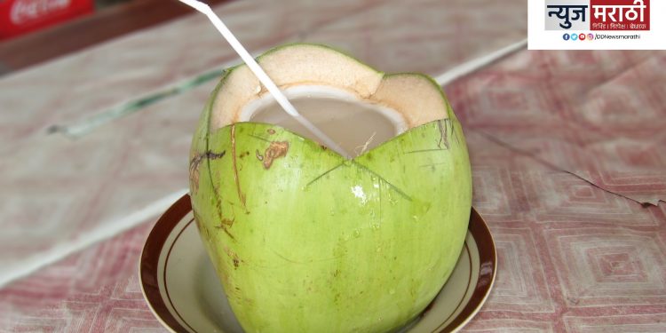 नारळ पाण्याचे फायदे वाचा आणि निरोगी जीवन जगण्याची कला शिका