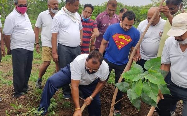 जागतिक पर्यावरण दिनानिमित्त तळजाई टेकडीवर वृक्षारोपण