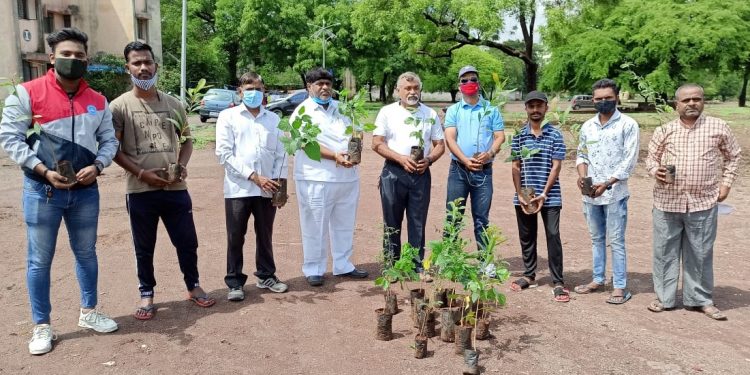 सुवर्ण सिहांसन मंडळ आणि सन्मित्र फाउंडेशन यांचेतर्फे वृक्षारोपण कार्यक्रमाचे आयोजन