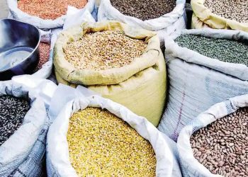 रायगडात सरकारी बाबूंनीही लाटला मोफत धान्य योजनेचा फायदा!