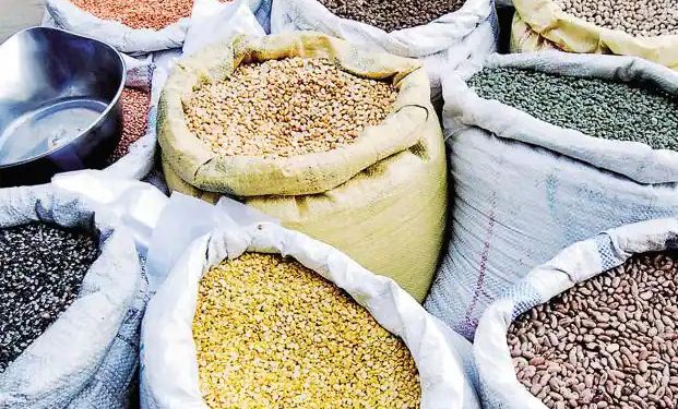 रायगडात सरकारी बाबूंनीही लाटला मोफत धान्य योजनेचा फायदा!