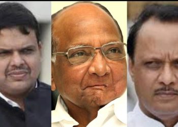 “अजित पवारांना शरद पवार हे व्हिलन बनवत होते आणि डावलतही होते कारण…!”