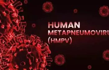 HMPV विषाणूबद्दल मिळाली महत्त्वाची माहिती!