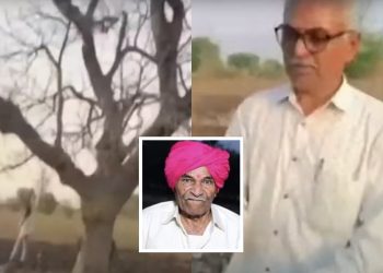 एका झाडामुळे शेतकरी झाला चक्क कोट्याधीश!