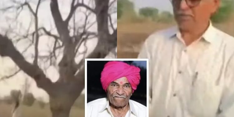 एका झाडामुळे शेतकरी झाला चक्क कोट्याधीश!