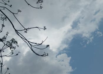 अकोला जिल्ह्याला विजांच्या कडकडाटासह पावसाचा अलर्ट!