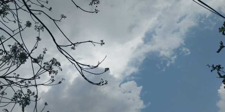 अकोला जिल्ह्याला विजांच्या कडकडाटासह पावसाचा अलर्ट!