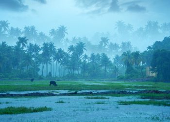 अरबी समुद्रात तयार झाले कमी दाबाचे क्षेत्र, येत्या ३६ तासांत त्याचे चक्रीवादळामध्ये रूपांतर होण्याची शक्यता!