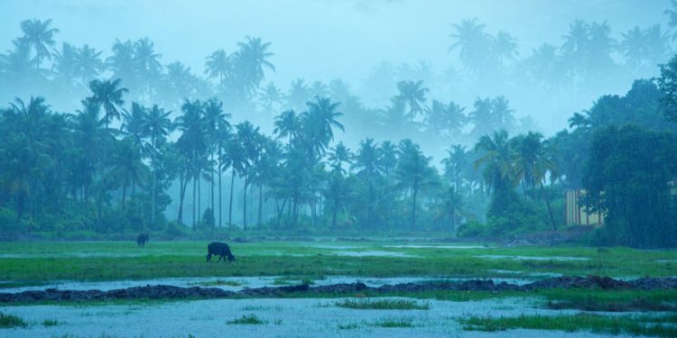 अरबी समुद्रात तयार झाले कमी दाबाचे क्षेत्र, येत्या ३६ तासांत त्याचे चक्रीवादळामध्ये रूपांतर होण्याची शक्यता!