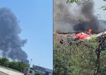 विमान अपघातानंतर विकृतीची पराकाष्ठा!