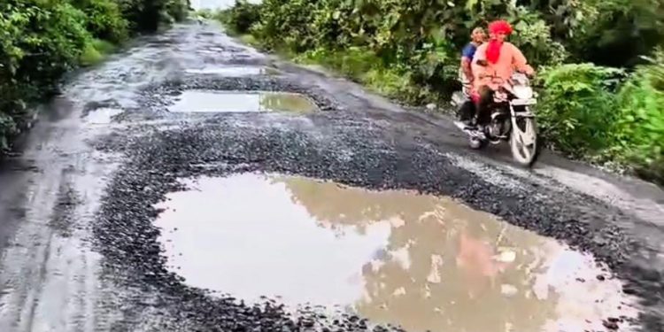 उमरेड चांपा परिसरातील हळदगाव परसोडी खापरी रस्त्यांची दुरवस्था!