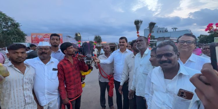 स्वतः शेतकरी असलेल्या कृषी मंत्री दत्तात्रय भरणे यांनी भरणेवाडीत गावकऱ्यांसोबत साजरा केला बैलपोळा!