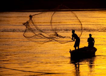 मच्छीमारांसाठी दिलासा! नुकसानग्रस्तांसाठी १०० कोटींची आर्थिक मदत जाहीर!