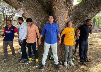 नाशिक वृक्षतोड प्रकरणावर काँग्रेसचा तिखट हल्ला!