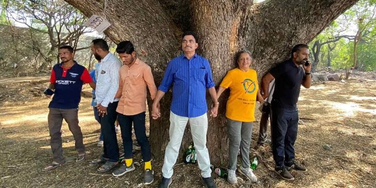 नाशिक वृक्षतोड प्रकरणावर काँग्रेसचा तिखट हल्ला!